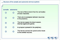Structure of the somatic and autonomic nervous systems