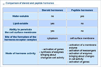 Comparison of steroid and peptide hormones