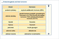 Endocrine glands and their hormones