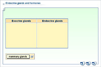 Endocrine glands and hormones