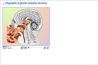 Regulation of growth hormone secretion