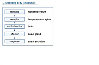 Stabilizing body temperature