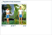 Regulation of body temperature