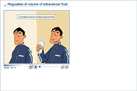 Regulation of volume of extracellular fluid