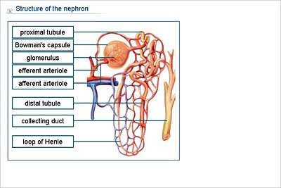 attraction formula 0