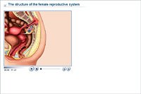 The structure of the female reproductive system