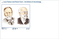 Louis Pasteur and Robert Koch – the fathers of microbiology