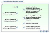Characteristics of pathogenic bacteria