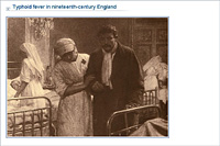 Typhoid fever in nineteenth-century England