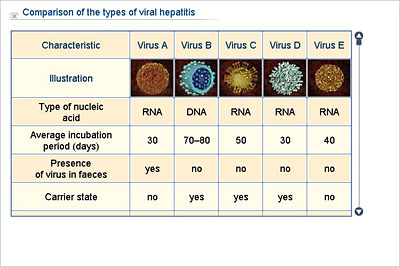 Hepatitis Types Chart