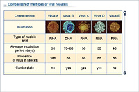 Comparison of the types of viral hepatitis