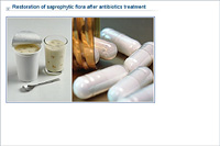 Restoration of saprophytic flora after antibiotics treatment