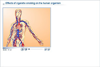 Effects of cigarette smoking on the human organism