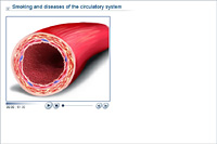 Smoking and diseases of the circulatory system