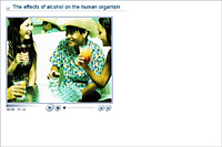 The effects of alcohol on the human organism