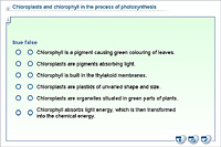 Chloroplasts and chlorophyll in the process of photosynthesis
