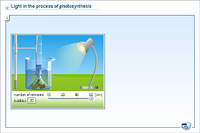 Light in the process of photosynthesis