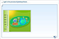 Light in the process of photosynthesis