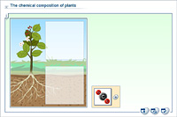 The chemical composition of plants