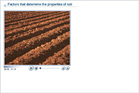 Factors that determine the properties of soil