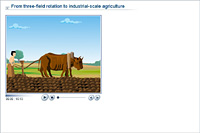 From three-field rotation to industrial-scale agriculture