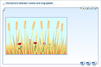 Interactions between weeds and crop plants