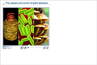 The causes and control of plant diseases