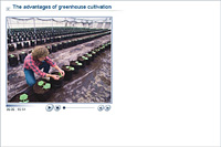 The advantages of greenhouse cultivation