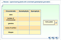 Mosses – spore-bearing plants with a dominant gametophyte generation