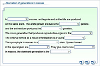 Alternation of generations in mosses