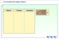 The developmental stages of plants