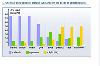 Chemical composition of storage substances in the seeds of selected plants