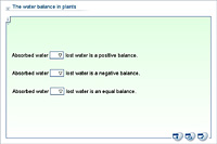 The water balance in plants
