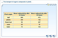 The transport of organic compounds in plants