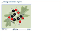 Storage substances in plants