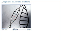 Significance and prevention of mutations