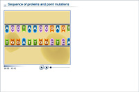 Sequence of proteins and point mutations