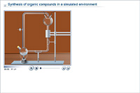 Synthesis of organic compounds in a simulated environment