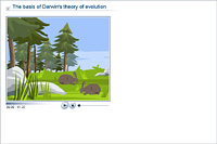 The basis of Darwin's theory of evolution