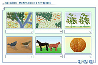 Speciation – the formation of a new species