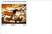 Trace evidence related to human evolution