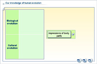 Our knowledge of human evolution