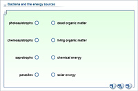 Bacteria and the energy sources