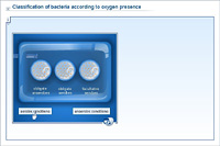 Classification of bacteria according to oxygen presence