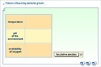 Factors influencing bacterial growth