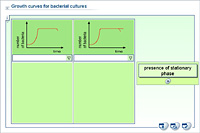 Growth curves for bacterial cultures