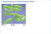 Removal of the spores of Clostridium botulinum from food