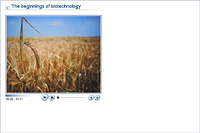 The beginnings of biotechnology