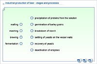 Industrial production of beer - stages and processes