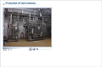 Production of hard cheeses